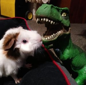 Meet your Posher, Melissa